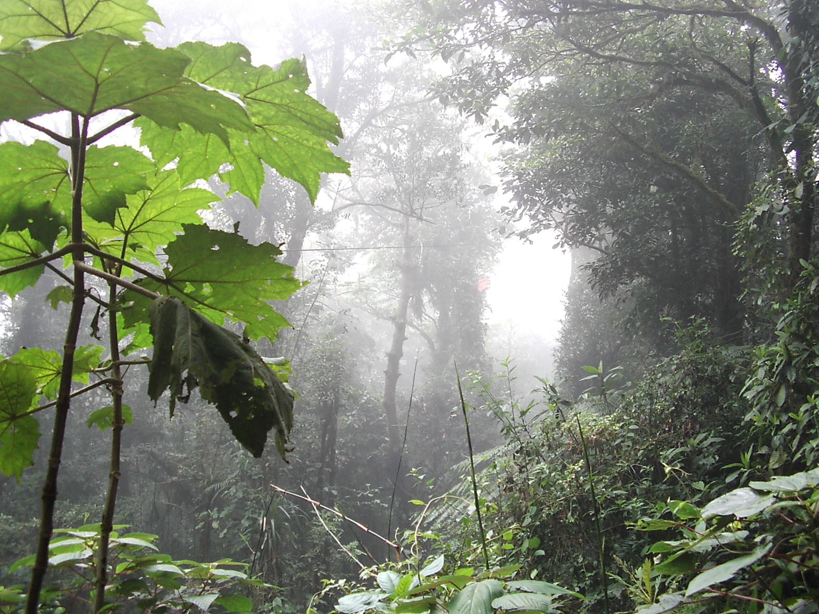 CostaRica